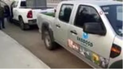 Tedavisi yapılan caretta caretta Didim Altınkum'da denize bırakıldı Tedavisi yapılan caretta caretta Didim Altınkum'da denize bırakıldı
