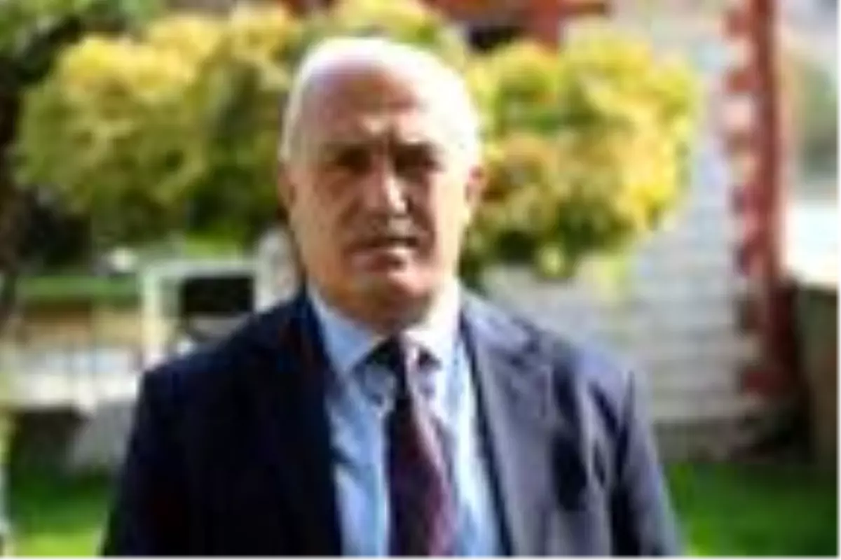 Tokat'ta 365 bin ton domates üretimi