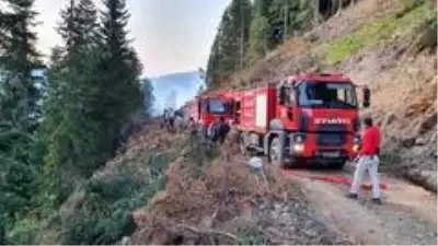 Örümcek Ormanları'ndaki yangın kontrol altına alınma seviyesine geldi- Gümüşhane Valisi Kamuran Taşbilek: - 'Yangın şuan itibariyle kontrol altına... Örümcek Ormanları'ndaki yangın kontrol altına alınma seviyesine geldi- Gümüşhane Valisi Kamuran Taşbilek: - 'Yangın şuan itibariyle kontrol altına...
