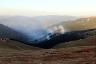 Örümcek Ormanları'ndaki yangın kontrol altına alınma seviyesine geldi- Gümüşhane Valisi Kamuran Taşbilek: - 'Yangın şuan itibariyle kontrol altına... Örümcek Ormanları'ndaki yangın kontrol altına alınma seviyesine geldi- Gümüşhane Valisi Kamuran Taşbilek: - 'Yangın şuan itibariyle kontrol altına...
