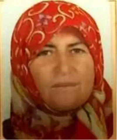 Virajı alamayan sürücü kamyonetiyle uçuruma yuvarlandı: 1 ölü, 1 yaralı Virajı alamayan sürücü kamyonetiyle uçuruma yuvarlandı: 1 ölü, 1 yaralı