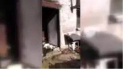 Yangında evleri kullanılamaz hale gelen aile destek bekliyor Yangında evleri kullanılamaz hale gelen aile destek bekliyor