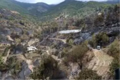 Yangının acı yüzü gün aydınlanınca ortaya çıktı Yangının acı yüzü gün aydınlanınca ortaya çıktı