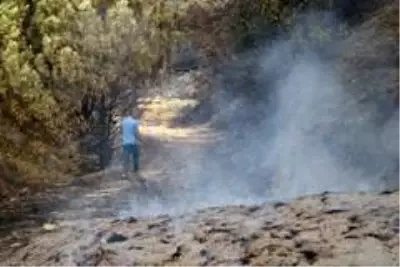 Yangının acı yüzü gün aydınlanınca ortaya çıktı Yangının acı yüzü gün aydınlanınca ortaya çıktı