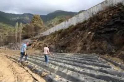 Yangının acı yüzü gün aydınlanınca ortaya çıktı Yangının acı yüzü gün aydınlanınca ortaya çıktı