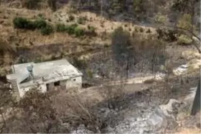 Yangının acı yüzü gün aydınlanınca ortaya çıktı Yangının acı yüzü gün aydınlanınca ortaya çıktı