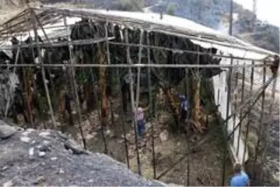 Yangının acı yüzü gün aydınlanınca ortaya çıktı Yangının acı yüzü gün aydınlanınca ortaya çıktı