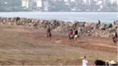 3. Beşikdüzü Cumhuriyet Rahvan At Yarışı yapıldı 3. Beşikdüzü Cumhuriyet Rahvan At Yarışı yapıldı
