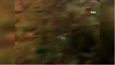 ABD'de Zeta Kasırgası: 1 ölü ABD'de Zeta Kasırgası: 1 ölü