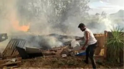Son dakika haberi... Antalya'da korkutan palmiye yangını Son dakika haberi... Antalya'da korkutan palmiye yangını