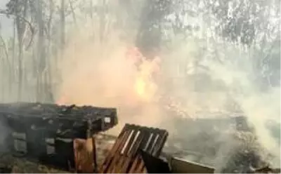 Son dakika haberi... Antalya'da korkutan palmiye yangını Son dakika haberi... Antalya'da korkutan palmiye yangını