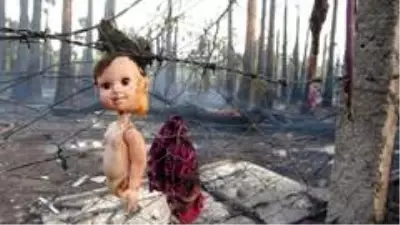 Son dakika haberi... Antalya'da korkutan palmiye yangını Son dakika haberi... Antalya'da korkutan palmiye yangını