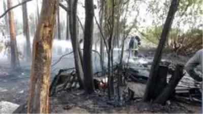 Son dakika haberi... Antalya'da korkutan palmiye yangını Son dakika haberi... Antalya'da korkutan palmiye yangını