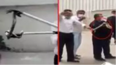 Apartmanın otoparkında bulunan bir buçuk metrelik yılanın yakalanma anı kamerada Apartmanın otoparkında bulunan bir buçuk metrelik yılanın yakalanma anı kamerada