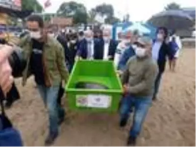 Aydın'da tedavisi tamamlanan caretta caretta denizi bırakıldı Aydın'da tedavisi tamamlanan caretta caretta denizi bırakıldı