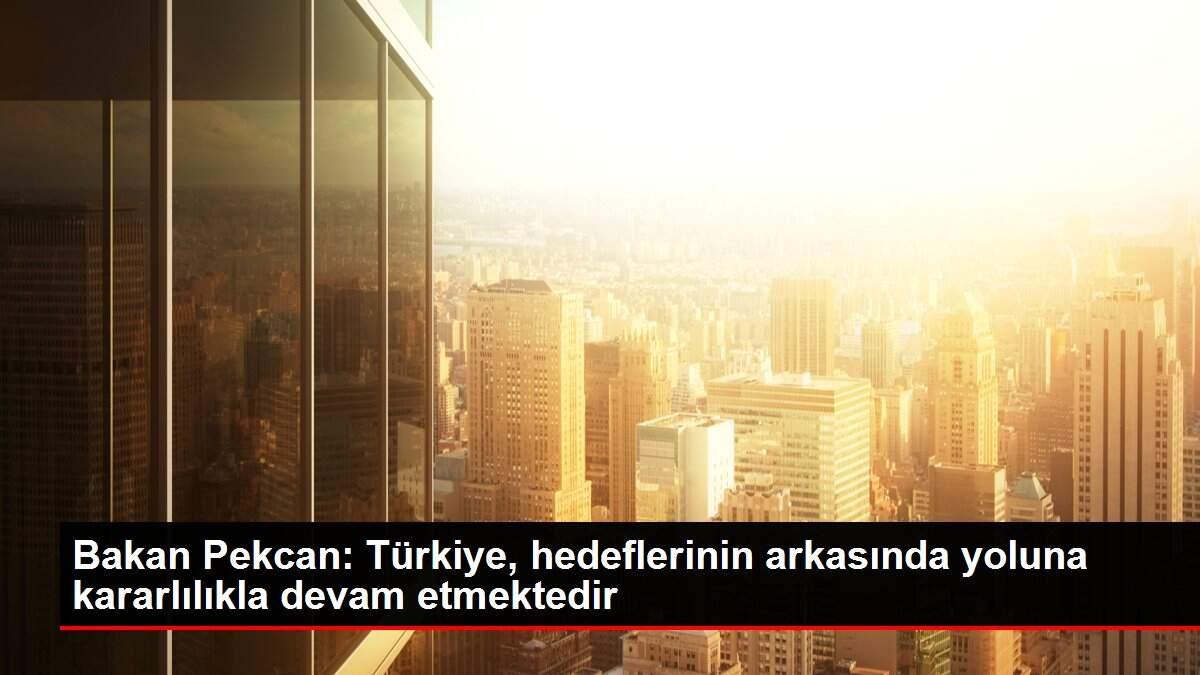Ticaret Bakanı Pekcan'dan 29 Ekim Cumhuriyet Bayramı mesajı Açıklaması Ticaret Bakanı Pekcan'dan 29 Ekim Cumhuriyet Bayramı mesajı Açıklaması