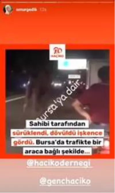 Bursa'da bir 'Garip' deve hikayesi Bursa'da bir 'Garip' deve hikayesi