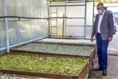 Karacabey'de tıbbi ve aromatik bitki üretimleriyle kırsal kesime katkı sağlanacak Karacabey'de tıbbi ve aromatik bitki üretimleriyle kırsal kesime katkı sağlanacak