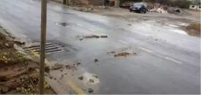 Efeler Belediyesi yeşil alana zarar veren çalışmayı durdurdu Efeler Belediyesi yeşil alana zarar veren çalışmayı durdurdu