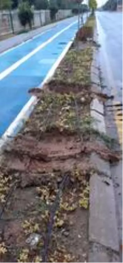 Efeler Belediyesi yeşil alana zarar veren çalışmayı durdurdu Efeler Belediyesi yeşil alana zarar veren çalışmayı durdurdu