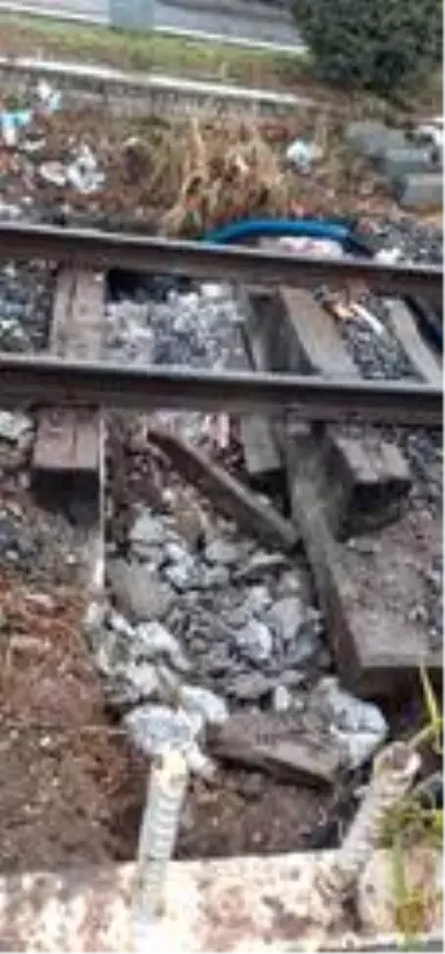 Efeler Belediyesi yeşil alana zarar veren çalışmayı durdurdu Efeler Belediyesi yeşil alana zarar veren çalışmayı durdurdu
