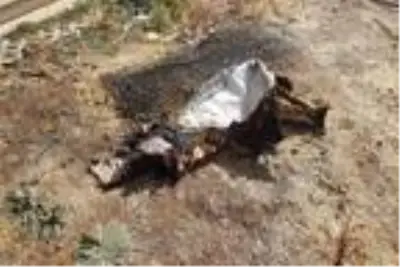 Son dakika haber: Elazığ'daki yangında 8 aylık Hiranur öldü, ağabeyi ağır yaralandı Son dakika haber: Elazığ'daki yangında 8 aylık Hiranur öldü, ağabeyi ağır yaralandı