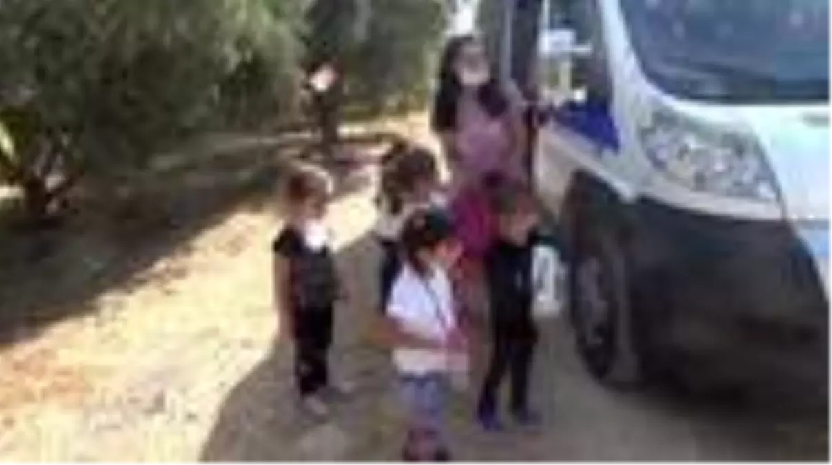 Erdemli'de öğrencilerin hasat heyecanı