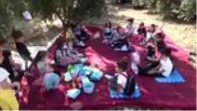 Erdemli'de öğrencilerin hasat heyecanı Erdemli'de öğrencilerin hasat heyecanı