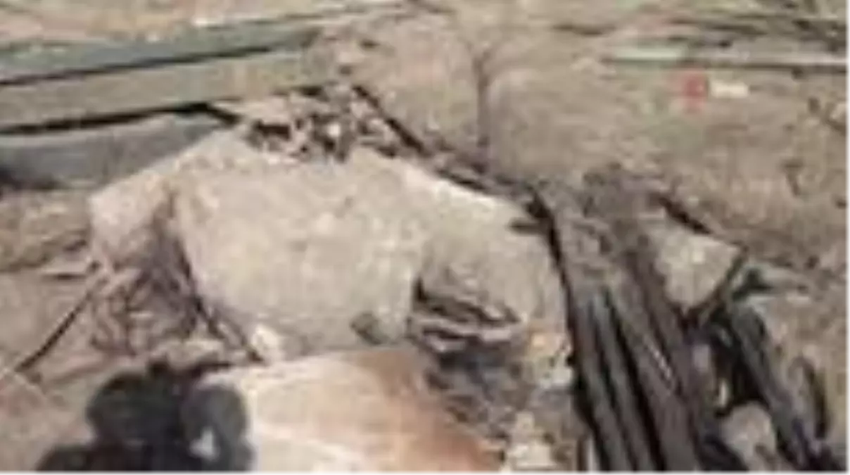 Son dakika haberi: Ermenistan askerlerinin kaçarken bıraktığı askeri teçhizat görüntülendi