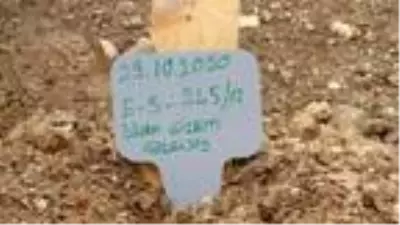 Eski nişanlısının öldürdüğü genç kız ve annesi toprağa verildi Eski nişanlısının öldürdüğü genç kız ve annesi toprağa verildi