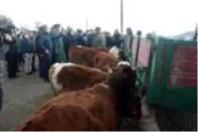 Son dakika haberleri! Tarım ve Orman Bakan Yardımcısı, Bolu'daki afetzedeleri ziyaret etti Son dakika haberleri! Tarım ve Orman Bakan Yardımcısı, Bolu'daki afetzedeleri ziyaret etti