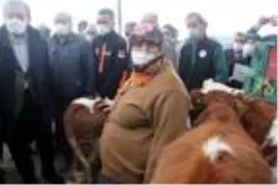 Son dakika haberleri! Tarım ve Orman Bakan Yardımcısı, Bolu'daki afetzedeleri ziyaret etti Son dakika haberleri! Tarım ve Orman Bakan Yardımcısı, Bolu'daki afetzedeleri ziyaret etti
