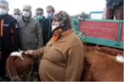 Son dakika haberleri! Tarım ve Orman Bakan Yardımcısı, Bolu'daki afetzedeleri ziyaret etti Son dakika haberleri! Tarım ve Orman Bakan Yardımcısı, Bolu'daki afetzedeleri ziyaret etti