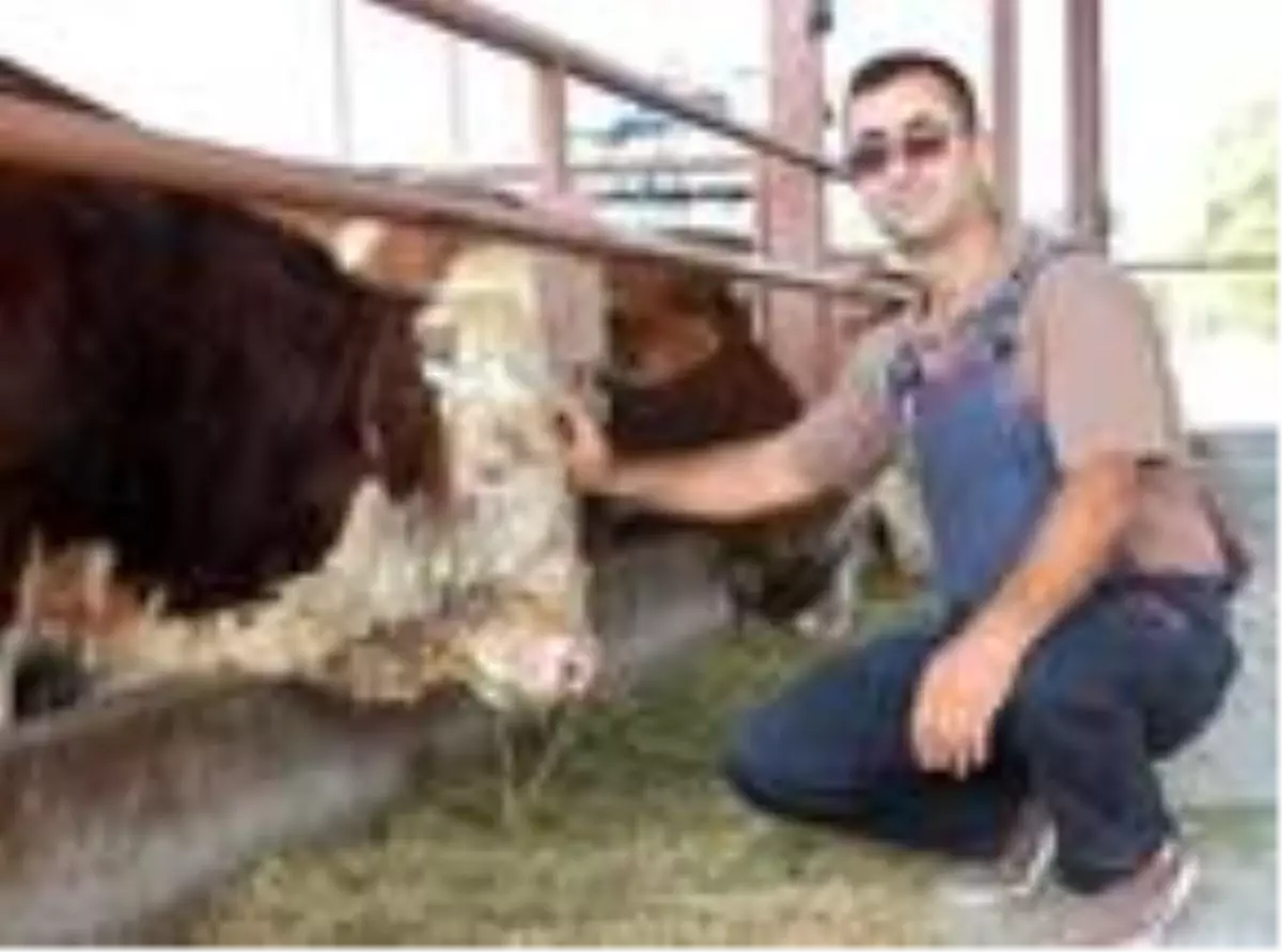 İnşaat işçisi, hibe desteğiyle besi çiftliği kurup, patron oldu