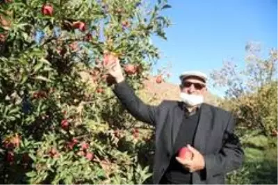 Kapalı Çarşı esnafıyken İran sınırındaki bahçesiyle örnek oldu Kapalı Çarşı esnafıyken İran sınırındaki bahçesiyle örnek oldu