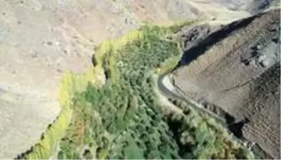 Kapalı Çarşı esnafıyken İran sınırındaki bahçesiyle örnek oldu Kapalı Çarşı esnafıyken İran sınırındaki bahçesiyle örnek oldu