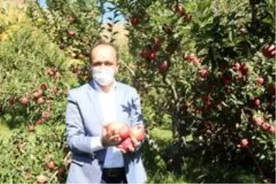 Kapalı Çarşı esnafıyken İran sınırındaki bahçesiyle örnek oldu Kapalı Çarşı esnafıyken İran sınırındaki bahçesiyle örnek oldu