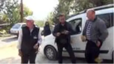 Kestane üreticisinin başı gal arısıyla dertte Kestane üreticisinin başı gal arısıyla dertte