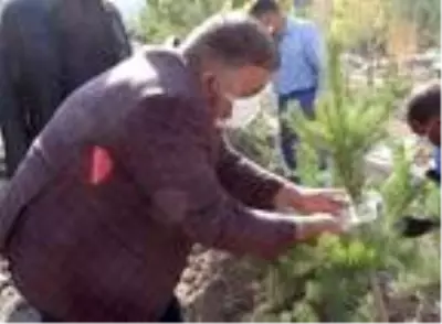 Koronavirüsle mücadelede hayatını kaybeden sağlıkçıların isimleri fidanlara verildi