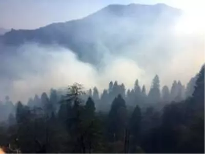 Son dakika haberi... Kürtün'deki yangınlara müdahale devam ediyor Son dakika haberi... Kürtün'deki yangınlara müdahale devam ediyor