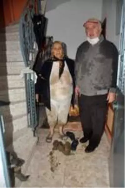 Malkara'da sağanak etkili oldu (2) Malkara'da sağanak etkili oldu (2)