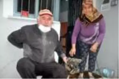 Malkara'da sağanak etkili oldu (2) Malkara'da sağanak etkili oldu (2)