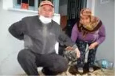 Malkara'da sağanak etkili oldu (2) Malkara'da sağanak etkili oldu (2)