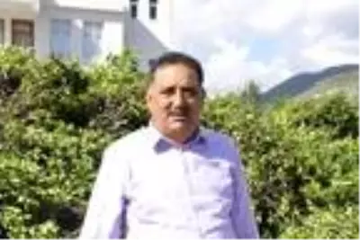 Manavgat'ta defne yaprağından 5 milyon lira gelir bekleniyor Manavgat'ta defne yaprağından 5 milyon lira gelir bekleniyor