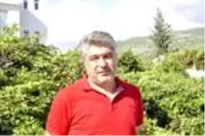 Manavgat'ta defne yaprağından 5 milyon lira gelir bekleniyor Manavgat'ta defne yaprağından 5 milyon lira gelir bekleniyor