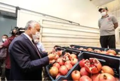 Nar ve sebze üreticileri için soğuk hava deposu açıldı Nar ve sebze üreticileri için soğuk hava deposu açıldı