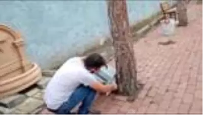 Otomobilin çarptığı sincap tedavi edilerek yeniden doğaya salındı Otomobilin çarptığı sincap tedavi edilerek yeniden doğaya salındı
