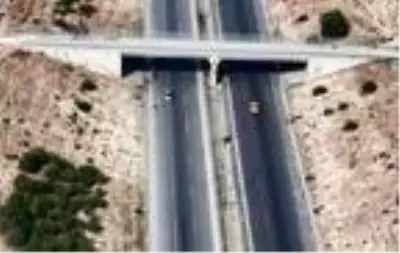 Otoyolda uyuşturucu nakli yaparken görüntülenip gözaltına alınan 7 kişi tutuklandı Otoyolda uyuşturucu nakli yaparken görüntülenip gözaltına alınan 7 kişi tutuklandı