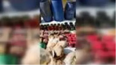Son dakika haberi... PKK'ya yönelik 'Yıldırım-10 Operasyonu'nda silah ve mühimmat bulundu Son dakika haberi... PKK'ya yönelik 'Yıldırım-10 Operasyonu'nda silah ve mühimmat bulundu