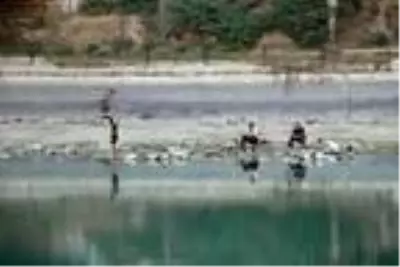 Suyu çekilen Seyhan Nehri'ne inip, balık için hayatlarını tehlikeye attılar Suyu çekilen Seyhan Nehri'ne inip, balık için hayatlarını tehlikeye attılar